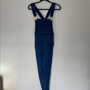 WE WORE WHAT High Rose Skinny Overalls NWT